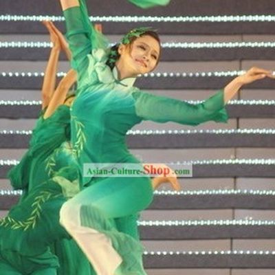 Traditional Chinese Green Willow Dance Costumes and Hair Accessories for Women