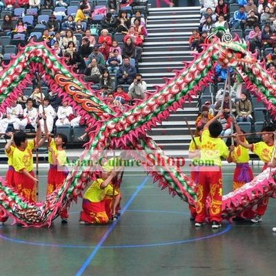 Top Chinese Competition and Parade Luminous Dragon Dance Costumes Complete Set for Children