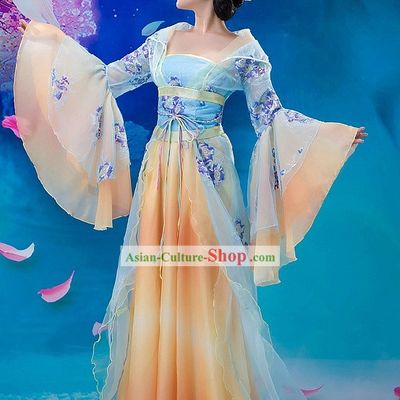 Ancient Chinese Tang Dynasty Beauty Costume and Hair Accessories for Women