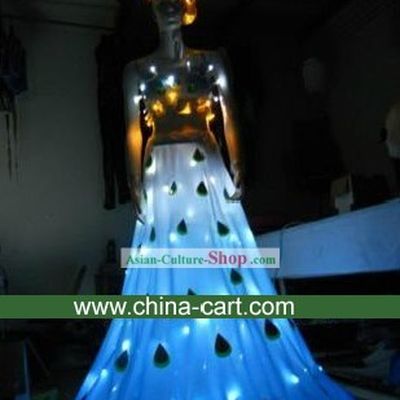 Electric LED Lights Dance Costumes Complete Set