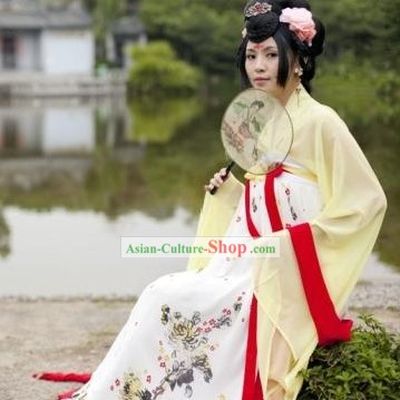 Ancient Chinese Tang Dynasty Palace Lady Costume