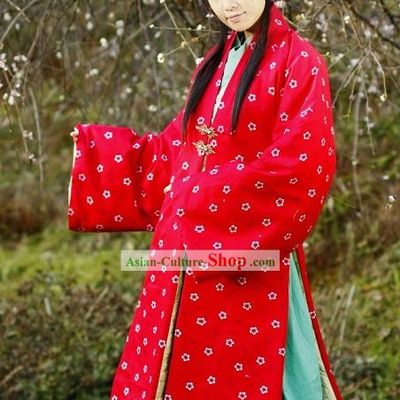 Traditional Song Dynasty Zhe Zi Hanfu Clothing for Women