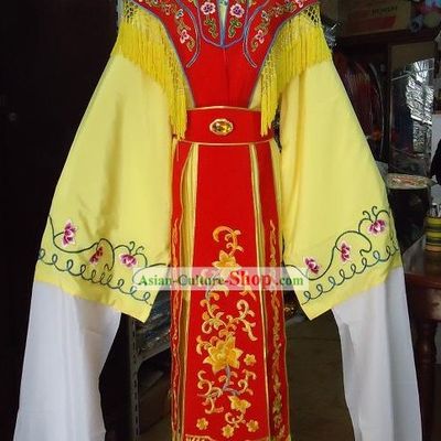Traditional Chinese Long Sleeves Opera Palace Dancing Costumes for Women