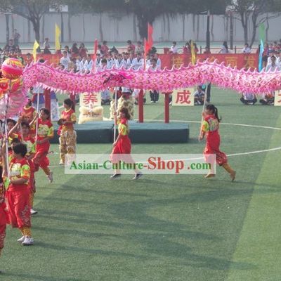 Supreme Phoenix Tail Luminous Dragon Dancing Costume Complete Set
