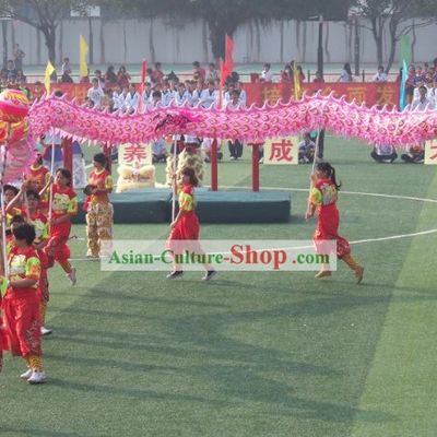 Professional Competition and Parade Luminous Dragon Dancing Costume Complete Set