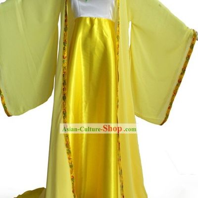 Ancient Tang Dynasty Lady Costumes