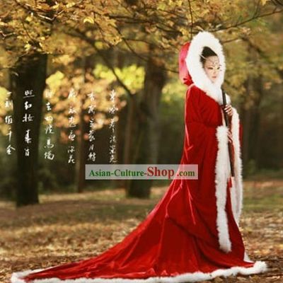 Ancient Wang Zhaojun Shawl Costumes for Women