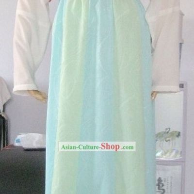 Ancient Chinese Tang Dynasty Clothing for Women