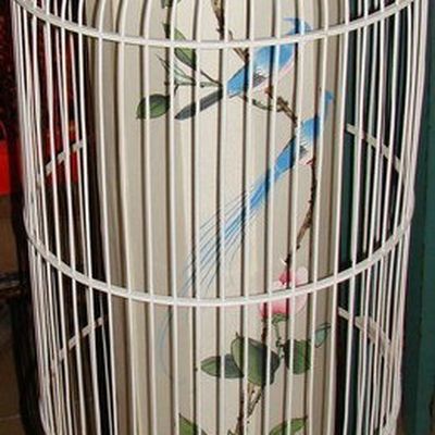 Chinese Classic Handmade and Painted Silk Birdcage Floor Lamp
