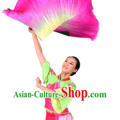 Chinese Classical Fan Dance Costume and Dance Fan for Women