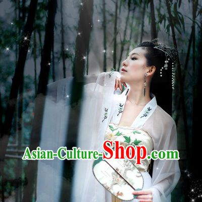 Ancient Chinese Bai Suzhen Fairy White Costume for Women