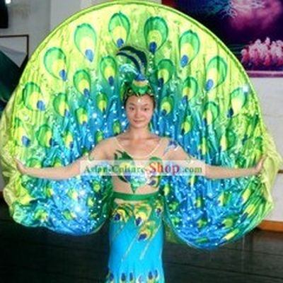 Electric LED Glowing Peacock Dance Costumes