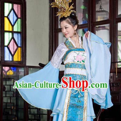 Ancient Chinese Palace Wide Sleeve Dance Costume for Women