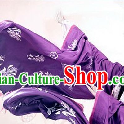 Ancient Chinese Purple Beauty Hanfu Clothing for Women