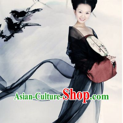 Ancient Chinese Beauty Costume