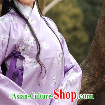 Ancient Chinese Ming Dynasty Ruqun Clothing for Women