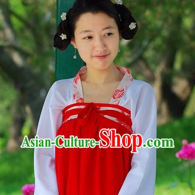 Tang Dynasty Palace Maid Clothes