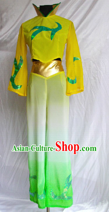 Zi Zhu Diao Chinese Fan Dance Costumes for Women