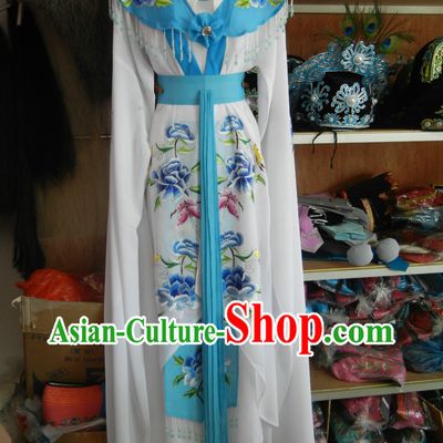 Traditional Chinese Water Sleeve Embroidered Lady Outfit