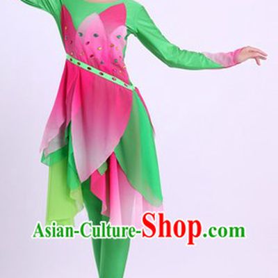 Traditional Chinese Classic Dance Costume and Headwear for Women