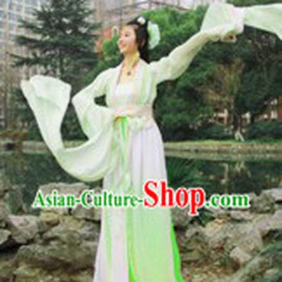 Ancient Chinese Water Sleeve Hanfu Guzhuang Clothing