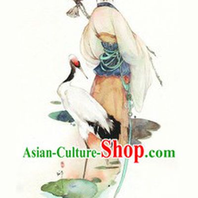 Ancient Zhao Feiyan Costumes for Women