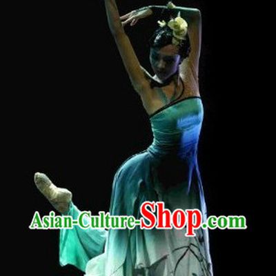Chinese Classical Orchid Dance Costume and Hair Accessories Complete Set for Women