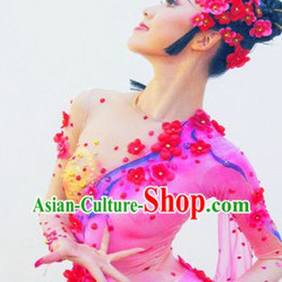 Stage Performance Classical Dance Costumes and Headwear Complete Set for Women