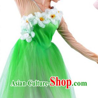 Traditional Nature Dance Clothes and Headwear for Women