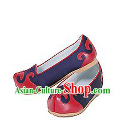 Korean National Shoes for Boys