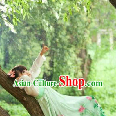 Traditional Chinese Tang Dynasty Ruqun Robe Clothes Complete Set for Women