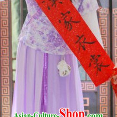 Traditional Ancient Chinese Hanfu Clothes for Women