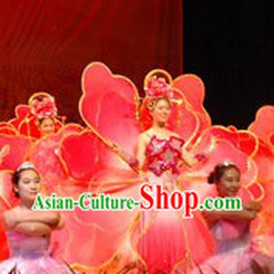 Chinese Flower Dance Costume and Headpiece Complete Set