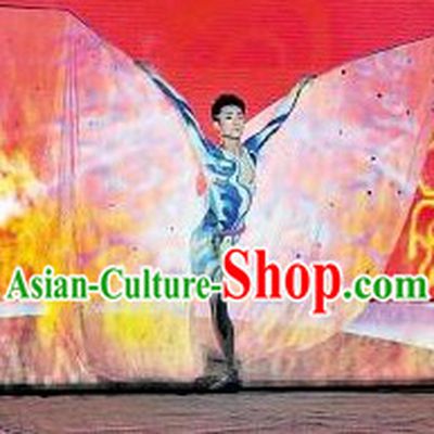 Traditional Chinese Acrobatics Dance Costumes for Men