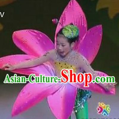 Traditional Chinese Flower Dance Costumes Complete Set