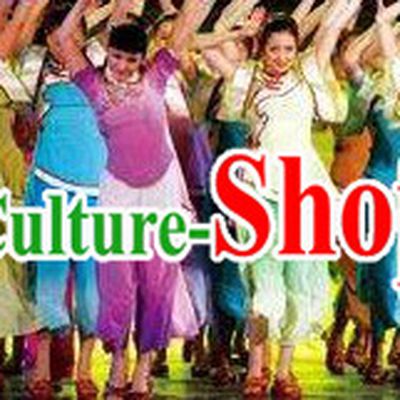 Chinese Fan Dance Costumes Complete Set
