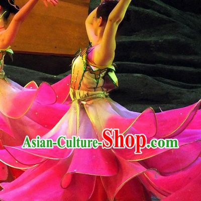 Chinese Lotus Dancing Costumes Complete Set for Women
