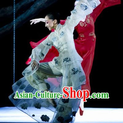 China Classical Silk Dancing Costumes Complete Set for Women