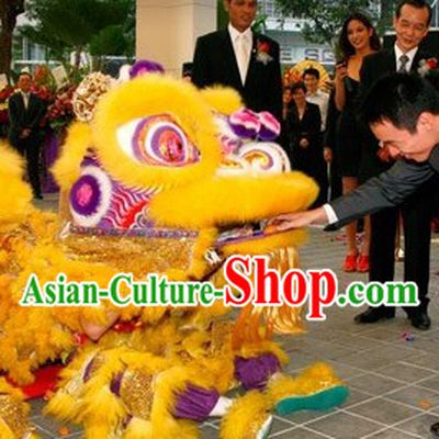 Wish You a Happy New Year Supreme Lion Dance Costumes Complete Set
