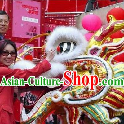 Supreme Shopping Mall Opening Southern Style Dragon Dance Costume Complete Set