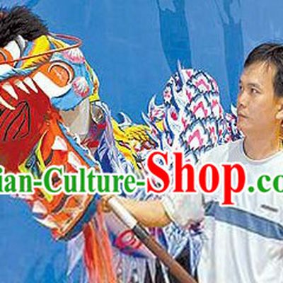 Competition Celebration and Parade Glow in Dark Dragon Dancing Costume Complete Set
