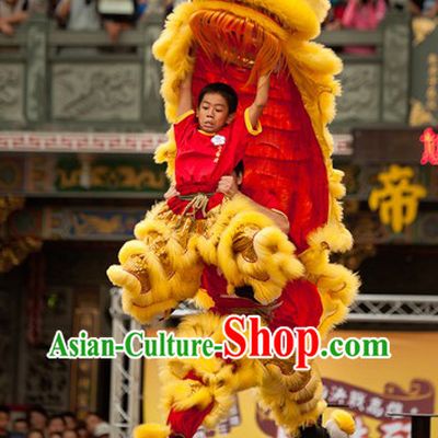 Teenagers Size Competition and Celebration Hoksan Lion Dance Costumes Complete Set