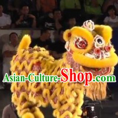 World Lion Dance Competition Hoksan Lion Head Adult Size Costumes Complete Set