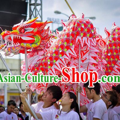 Professional Luminous Dragon Dance Equipment Complete Set for 9-10 Adults