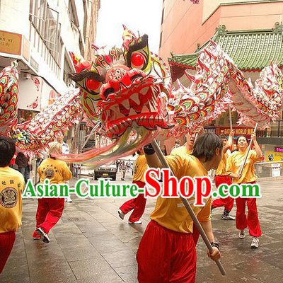 Southern Luminous Dragon Dance Costume for 9-10 People