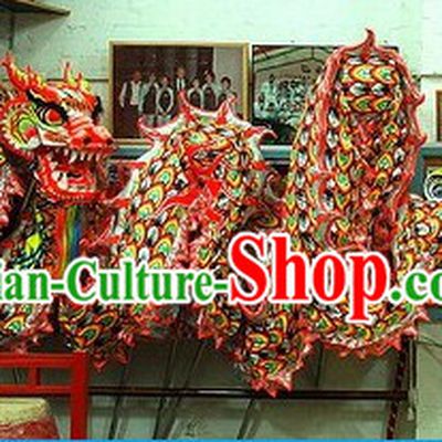 Top Luminous Dragon Dance Costume for 9-10 People