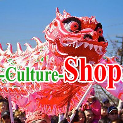 Phoenix Pattern Chinese Lunar New Year Dragon Dance Performance Costume Complete Set