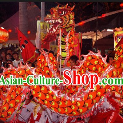 Wushu Academy Lumious Dragon Dance Costume for 9-10 Adult