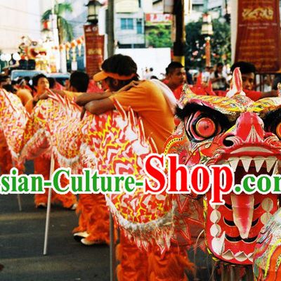 Chinese Year Lumious Dragon Dance Costume for 9-10 Persons