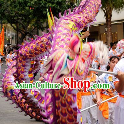 Purple CNY Dragon Dance Costume for 9-10 Persons
